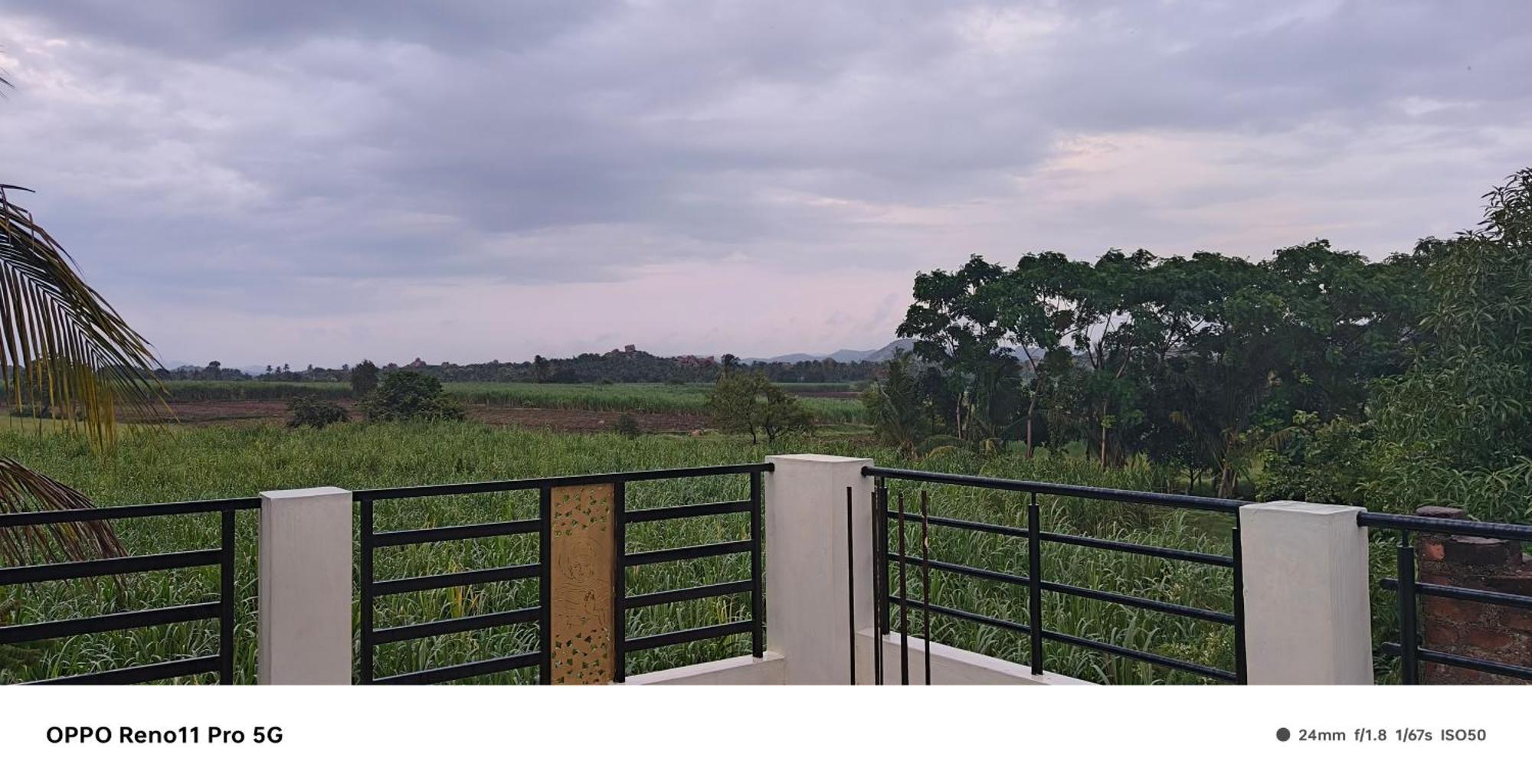 Coconut Homestay 함피 외부 사진